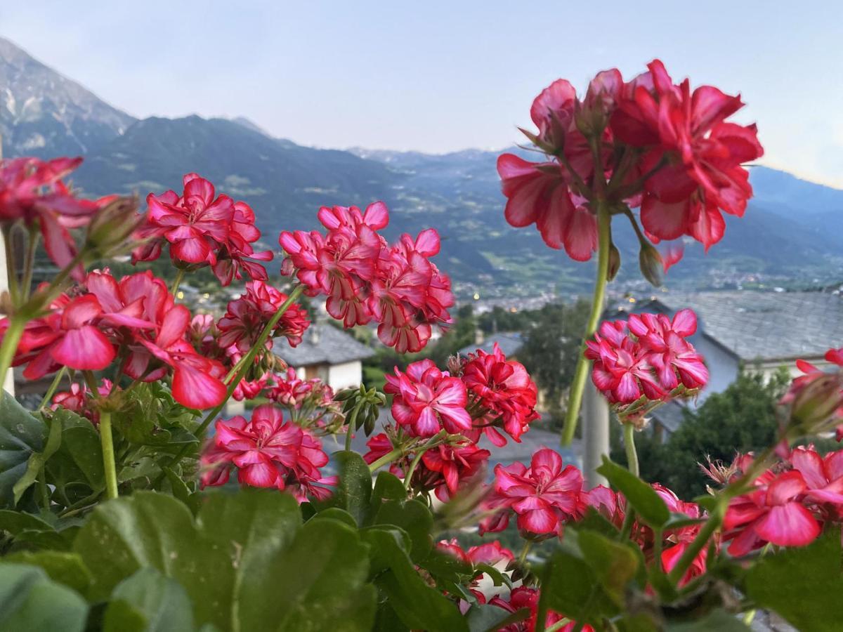 Grenier Du Coeur Leilighet Aosta Eksteriør bilde